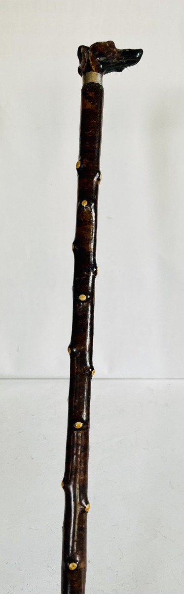 Canne de marche -photo-7